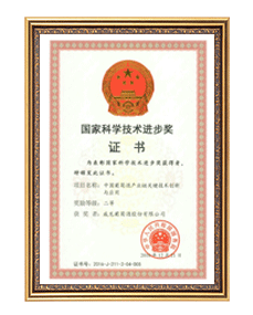 國家科學技術進步獎